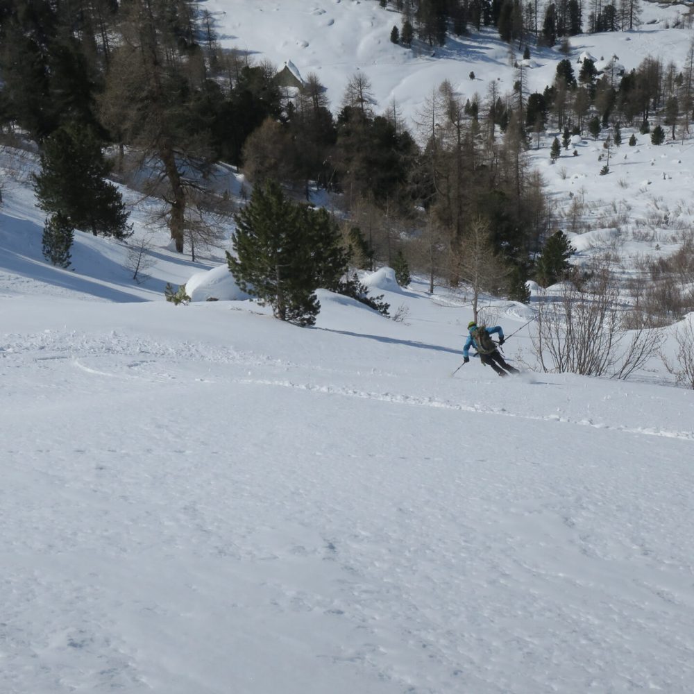 Arolla et ses Arolles