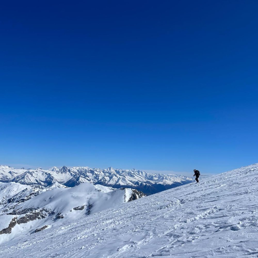 Bishorn2