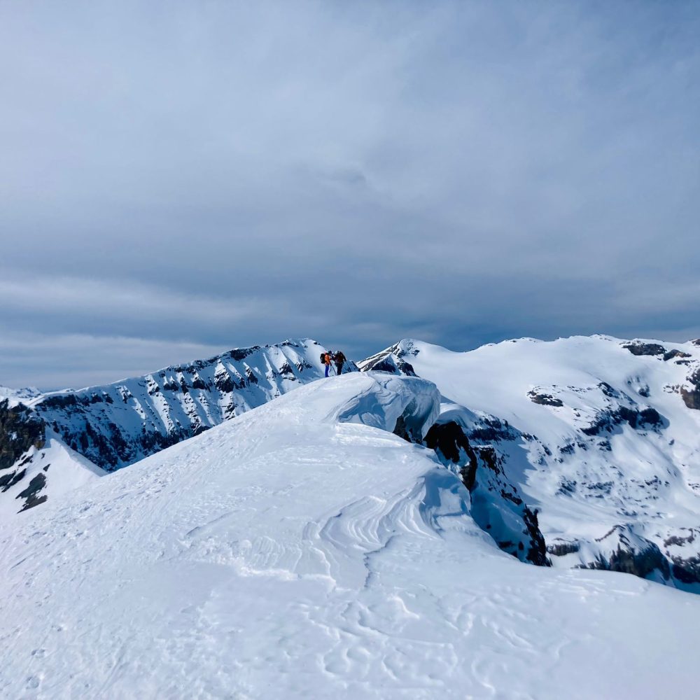 Haute route bernoise